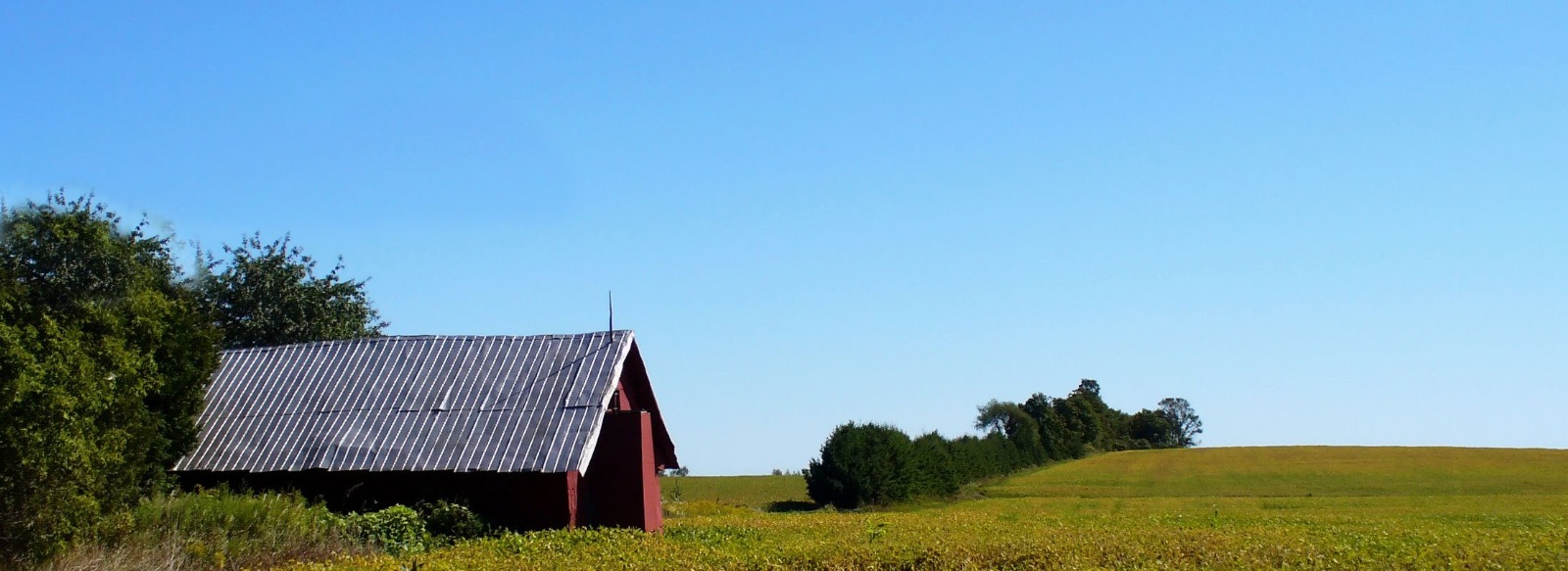 barn in a field